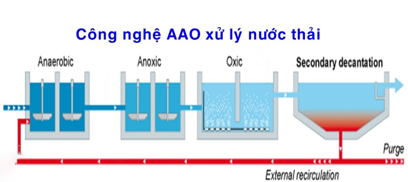 thiết kế nha khoa