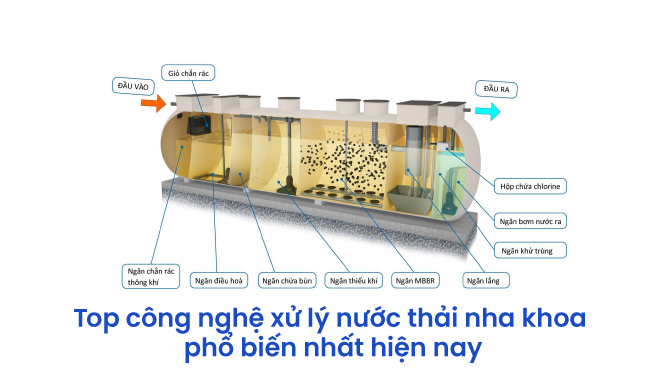 thiết kế nha khoa